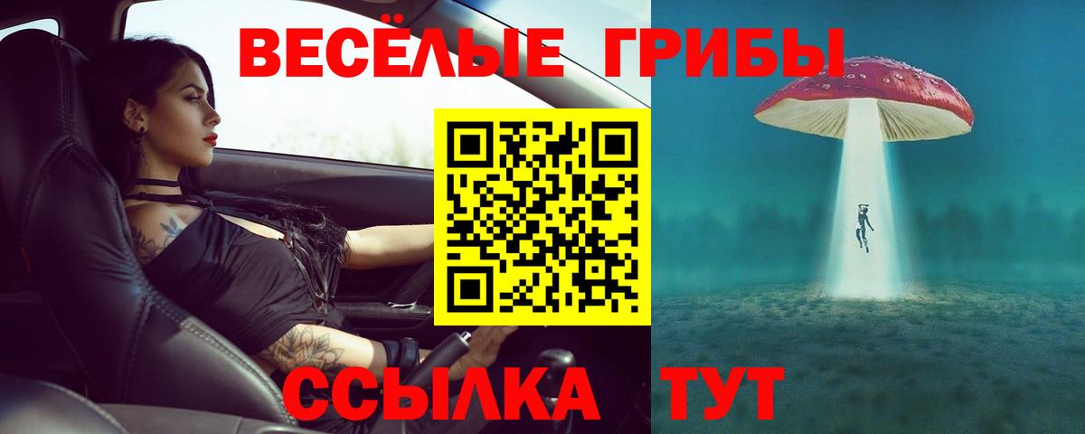 Галлюциногенные грибы мухоморы Красноуфимск